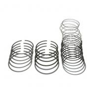 PISTON RING SET 66-71 225 V6

Replaces: 948851
Made in USA
UPC: 804314163495
Label: PISTON RING SET 225 V6